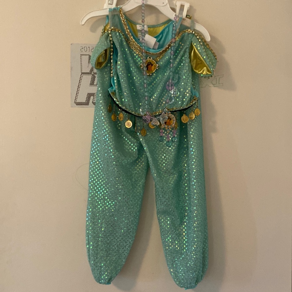 Princess jasmine costume